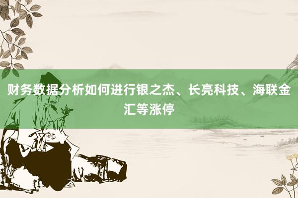 财务数据分析如何进行银之杰、长亮科技、海联金汇等涨停