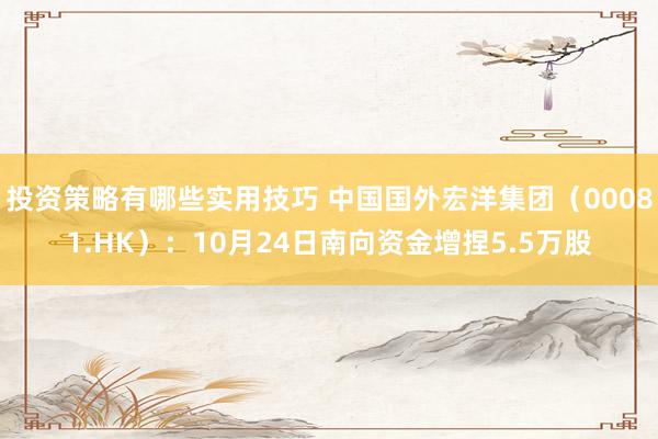 投资策略有哪些实用技巧 中国国外宏洋集团（00081.HK）：10月24日南向资金增捏5.5万股