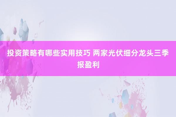 投资策略有哪些实用技巧 两家光伏细分龙头三季报盈利