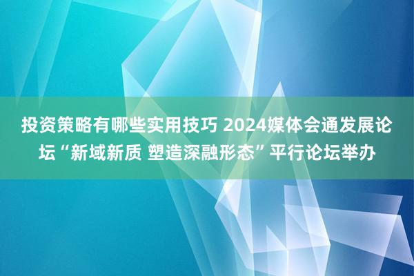 投资策略有哪些实用技巧 2024媒体会通发展论坛“新域新质 塑造深融形态”平行论坛举办