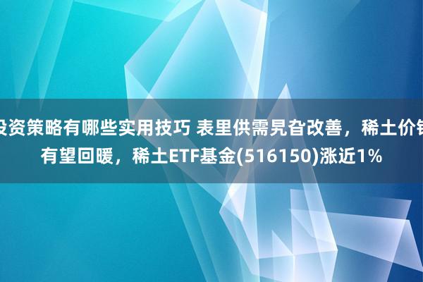 投资策略有哪些实用技巧 表里供需旯旮改善，稀土价钱有望回暖，稀土ETF基金(516150)涨近1%