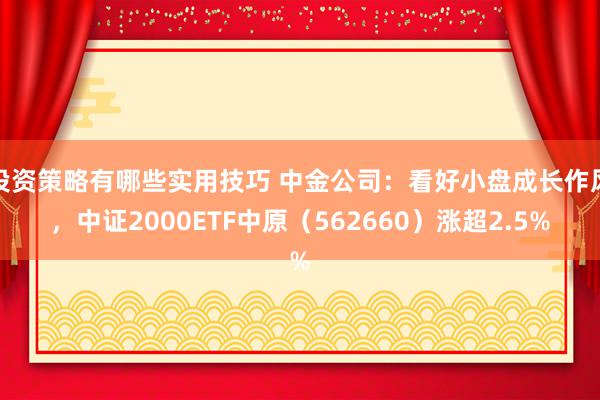 投资策略有哪些实用技巧 中金公司：看好小盘成长作风，中证2000ETF中原（562660）涨超2.5%