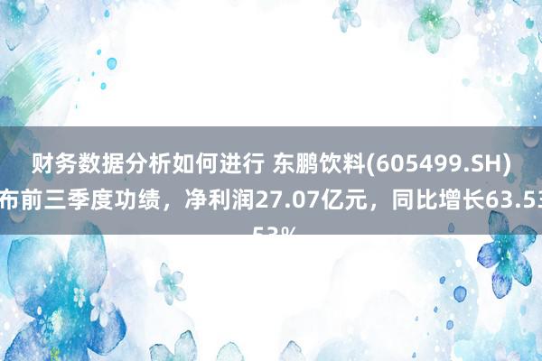 财务数据分析如何进行 东鹏饮料(605499.SH)发布前三季度功绩，净利润27.07亿元，同比增长63.53%