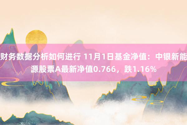 财务数据分析如何进行 11月1日基金净值：中银新能源股票A最新净值0.766，跌1.16%