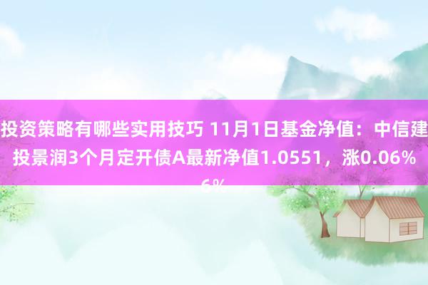 投资策略有哪些实用技巧 11月1日基金净值：中信建投景润3个月定开债A最新净值1.0551，涨0.06%