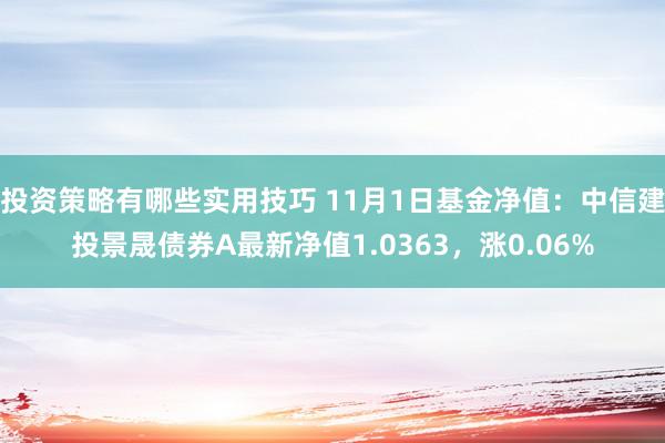 投资策略有哪些实用技巧 11月1日基金净值：中信建投景晟债券A最新净值1.0363，涨0.06%