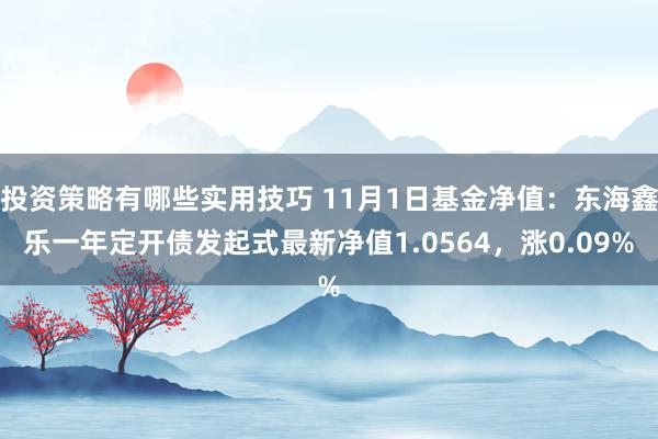 投资策略有哪些实用技巧 11月1日基金净值：东海鑫乐一年定开债发起式最新净值1.0564，涨0.09%