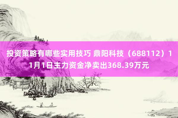 投资策略有哪些实用技巧 鼎阳科技（688112）11月1日主力资金净卖出368.39万元