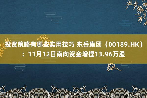 投资策略有哪些实用技巧 东岳集团（00189.HK）：11月12日南向资金增捏13.96万股