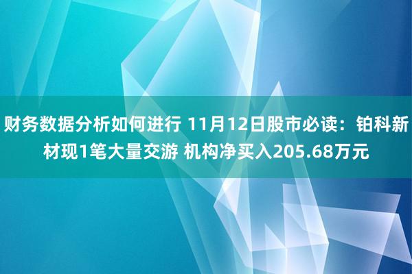 财务数据分析如何进行 11月12日股市必读：铂科新材现1笔大量交游 机构净买入205.68万元