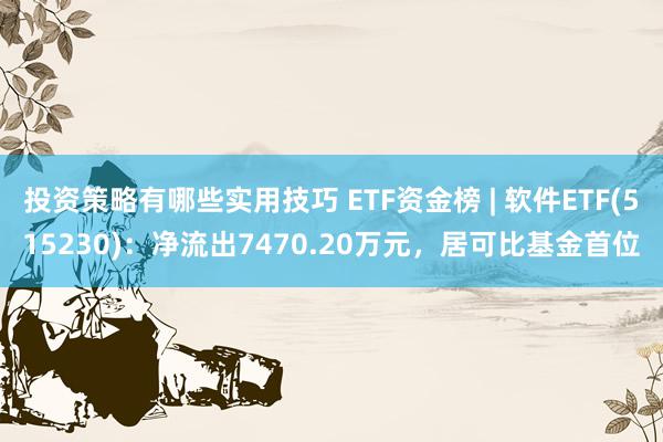 投资策略有哪些实用技巧 ETF资金榜 | 软件ETF(515230)：净流出7470.20万元，居可比基金首位