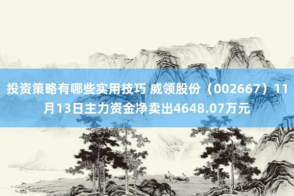 投资策略有哪些实用技巧 威领股份（002667）11月13日主力资金净卖出4648.07万元