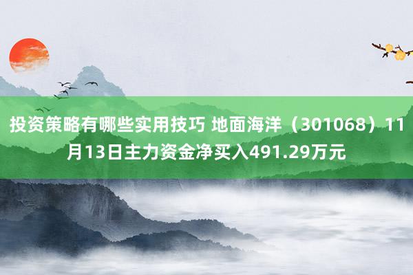 投资策略有哪些实用技巧 地面海洋（301068）11月13日主力资金净买入491.29万元