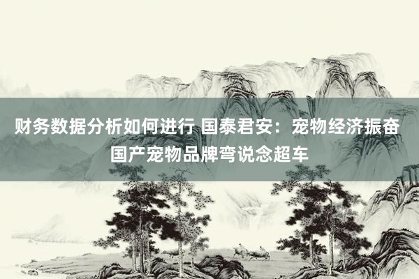 财务数据分析如何进行 国泰君安：宠物经济振奋 国产宠物品牌弯说念超车