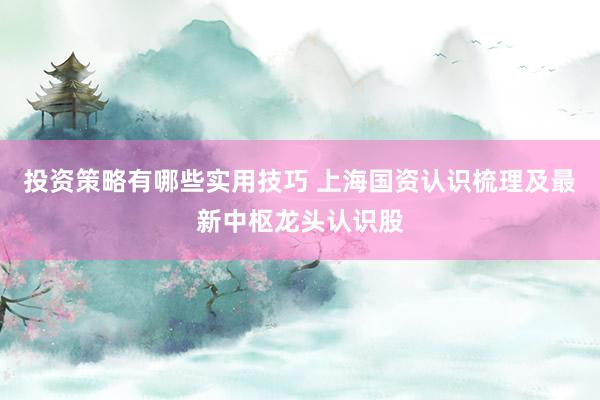 投资策略有哪些实用技巧 上海国资认识梳理及最新中枢龙头认识股