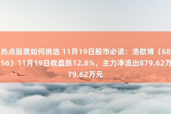 热点股票如何挑选 11月19日股市必读：浩欧博（688656）11月19日收盘跌12.8%，主力净流出879.62万元