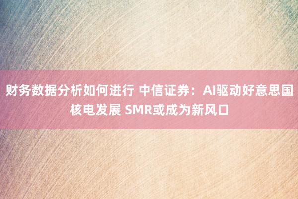 财务数据分析如何进行 中信证券：AI驱动好意思国核电发展 SMR或成为新风口