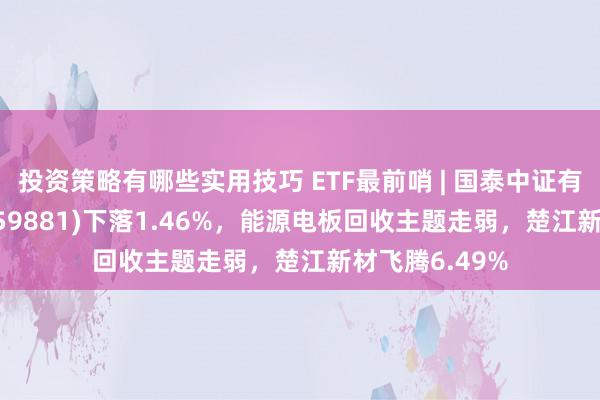 投资策略有哪些实用技巧 ETF最前哨 | 国泰中证有色金属ETF(159881)下落1.46%，能源电板回收主题走弱，楚江新材飞腾6.49%