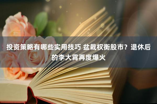 投资策略有哪些实用技巧 盆栽权衡股市？退休后的李大霄再度爆火