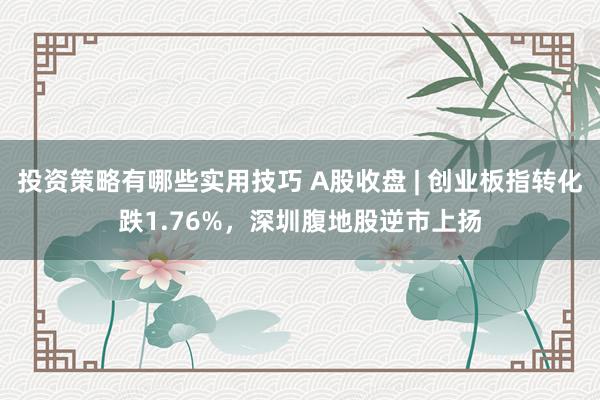 投资策略有哪些实用技巧 A股收盘 | 创业板指转化跌1.76%，深圳腹地股逆市上扬