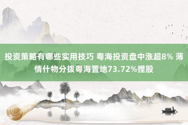 投资策略有哪些实用技巧 粤海投资盘中涨超8% 薄情什物分拨粤海置地73.72%捏股