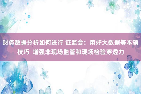 财务数据分析如何进行 证监会：用好大数据等本领技巧  增强非现场监管和现场检验穿透力