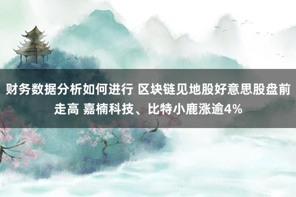 财务数据分析如何进行 区块链见地股好意思股盘前走高 嘉楠科技、比特小鹿涨逾4%