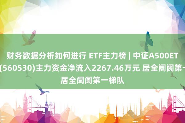 财务数据分析如何进行 ETF主力榜 | 中证A500ETF摩根(560530)主力资金净流入2267.46万元 居全阛阓第一梯队