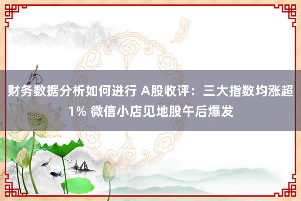 财务数据分析如何进行 A股收评：三大指数均涨超1% 微信小店见地股午后爆发