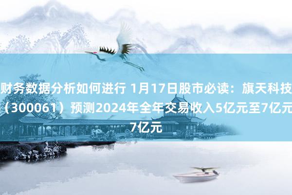 财务数据分析如何进行 1月17日股市必读：旗天科技（300061）预测2024年全年交易收入5亿元至7亿元