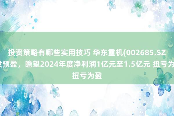 投资策略有哪些实用技巧 华东重机(002685.SZ)发预盈，瞻望2024年度净利润1亿元至1.5亿元 扭亏为盈