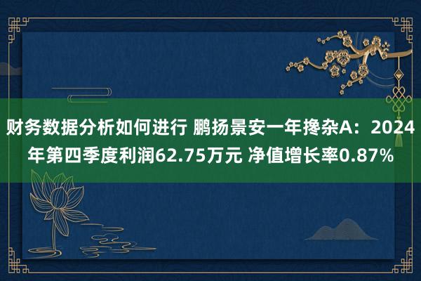 财务数据分析如何进行 鹏扬景安一年搀杂A：2024年第四季度利润62.75万元 净值增长率0.87%