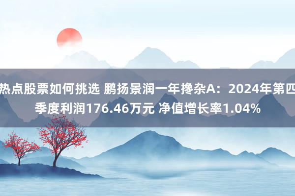 热点股票如何挑选 鹏扬景润一年搀杂A：2024年第四季度利润176.46万元 净值增长率1.04%