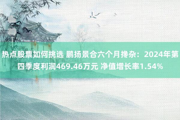 热点股票如何挑选 鹏扬景合六个月搀杂：2024年第四季度利润469.46万元 净值增长率1.54%