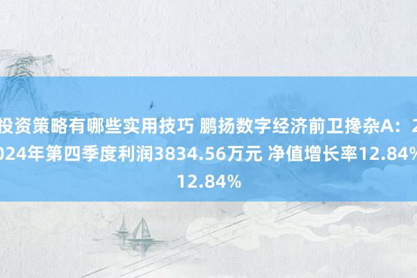 投资策略有哪些实用技巧 鹏扬数字经济前卫搀杂A：2024年第四季度利润3834.56万元 净值增长率12.84%