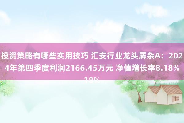 投资策略有哪些实用技巧 汇安行业龙头羼杂A：2024年第四季度利润2166.45万元 净值增长率8.18%