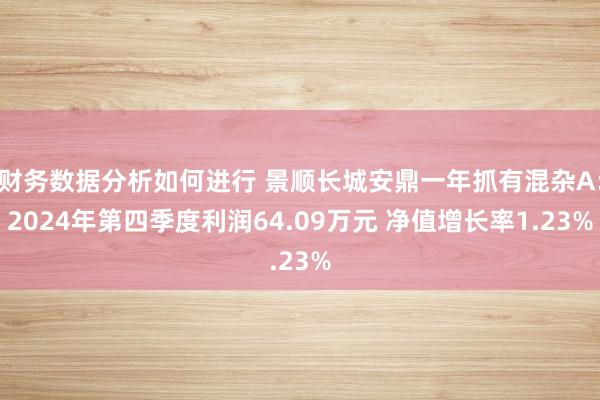 财务数据分析如何进行 景顺长城安鼎一年抓有混杂A：2024年第四季度利润64.09万元 净值增长率1.23%