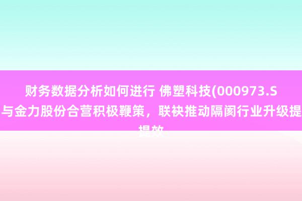 财务数据分析如何进行 佛塑科技(000973.SZ)与金力股份合营积极鞭策，联袂推动隔阂行业升级提效