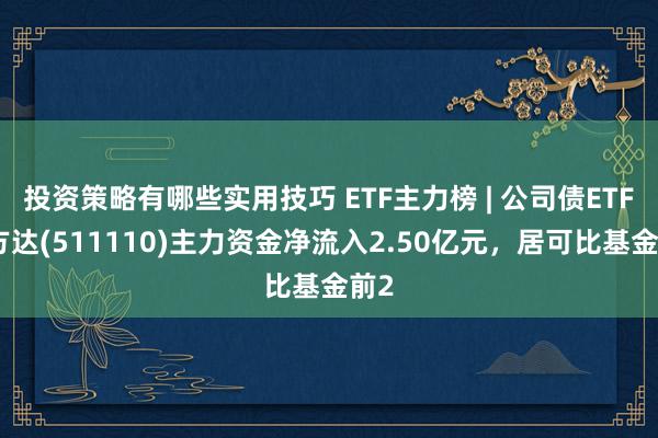 投资策略有哪些实用技巧 ETF主力榜 | 公司债ETF易方达(511110)主力资金净流入2.50亿元，居可比基金前2