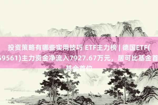 投资策略有哪些实用技巧 ETF主力榜 | 德国ETF(159561)主力资金净流入7927.67万元，居可比基金首位