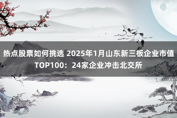 热点股票如何挑选 2025年1月山东新三板企业市值TOP100：24家企业冲击北交所