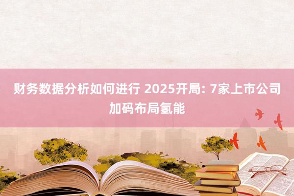 财务数据分析如何进行 2025开局: 7家上市公司加码布局氢能