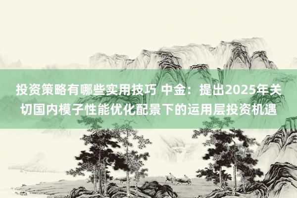 投资策略有哪些实用技巧 中金：提出2025年关切国内模子性能优化配景下的运用层投资机遇