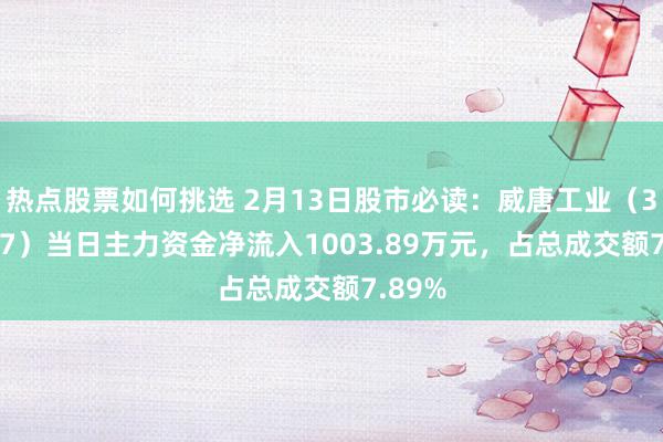 热点股票如何挑选 2月13日股市必读：威唐工业（300707）当日主力资金净流入1003.89万元，占总成交额7.89%