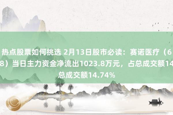 热点股票如何挑选 2月13日股市必读：赛诺医疗（688108）当日主力资金净流出1023.8万元，占总成交额14.74%