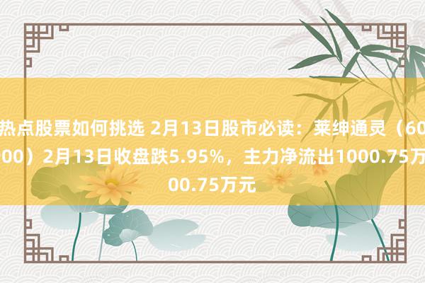 热点股票如何挑选 2月13日股市必读：莱绅通灵（603900）2月13日收盘跌5.95%，主力净流出1000.75万元