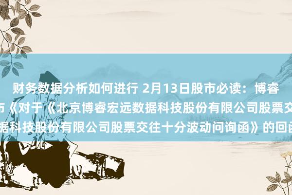 财务数据分析如何进行 2月13日股市必读：博睿数据（688229）新发布《对于《北京博睿宏远数据科技股份有限公司股票交往十分波动问询函》的回函》