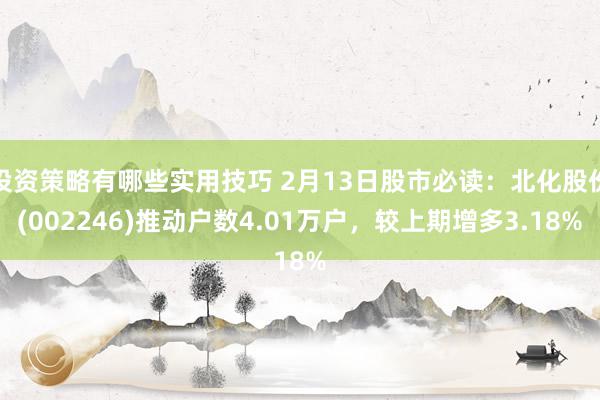 投资策略有哪些实用技巧 2月13日股市必读：北化股份(002246)推动户数4.01万户，较上期增多3.18%