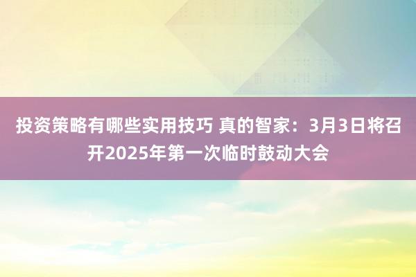 投资策略有哪些实用技巧 真的智家：3月3日将召开2025年第一次临时鼓动大会