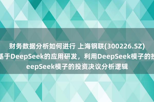 财务数据分析如何进行 上海钢联(300226.SZ)：当今已在作念基于DeepSeek的应用研发，利用DeepSeek模子的投资决议分析逻辑